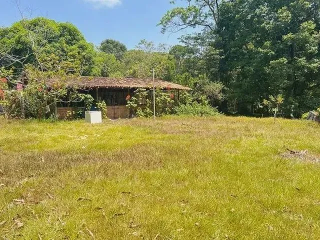 Imagem 11: Mf - Venda! Sítio Estrada de Mosqueiro - Benevides