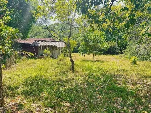 Imagem 4: Mf - Venda! Sítio Estrada de Mosqueiro - Benevides