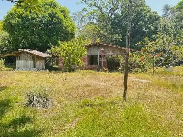 Imagem 10: Mf - Venda! Sítio Estrada de Mosqueiro - Benevides