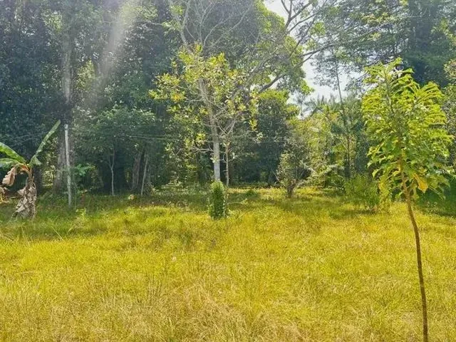 Imagem 3: Mf - Venda! Sítio Estrada de Mosqueiro - Benevides