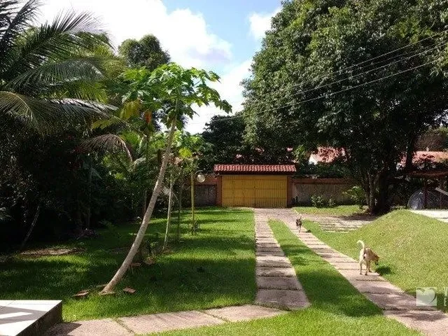 Imagem 4: Sitio em Benevides com 16.800M²