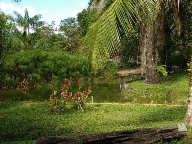 Imagem 5: Sitio em Benevides com 16.800M²