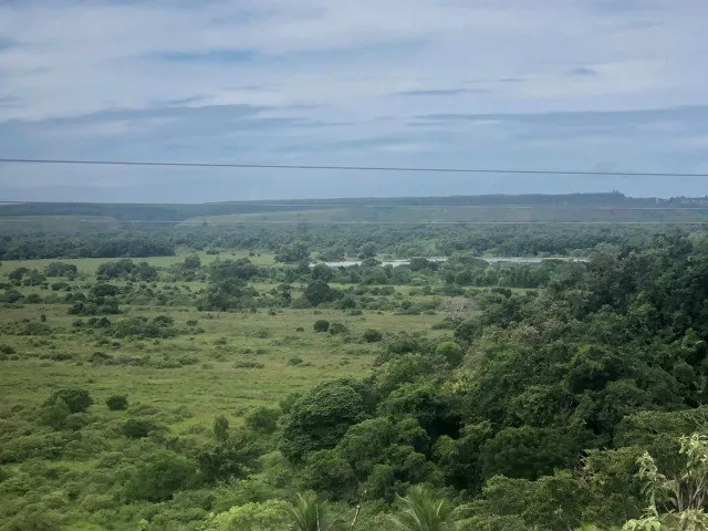 Imagem: Vendo Fazenda com 43 Alqueires Mineiro em