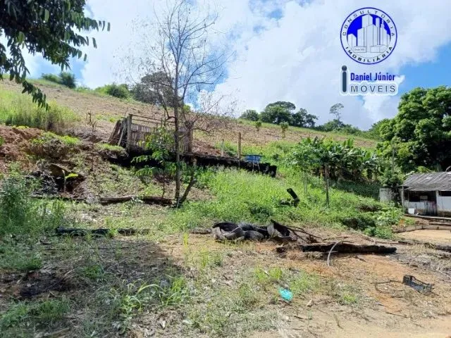 Imagem 3: Vendo Sítio - Nova Campo Grande - Cariacica/Es