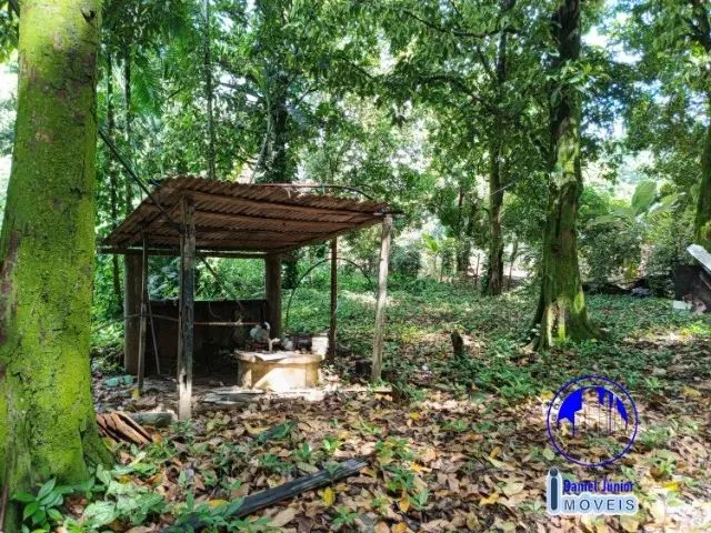 Imagem 4: Vendo Sítio - Nova Campo Grande - Cariacica/Es