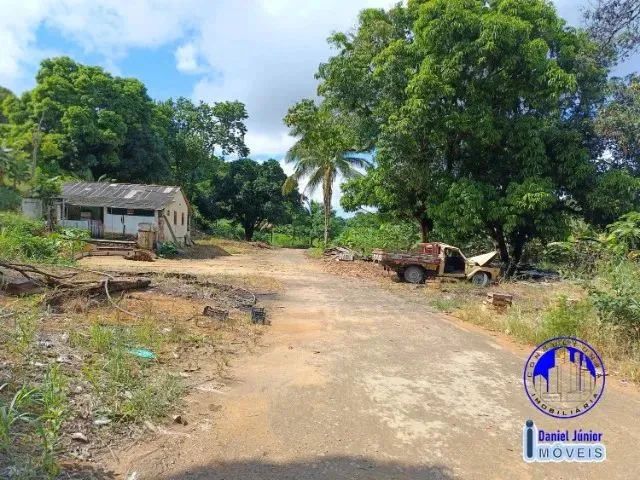 Imagem 5: Vendo Sítio - Nova Campo Grande - Cariacica/Es