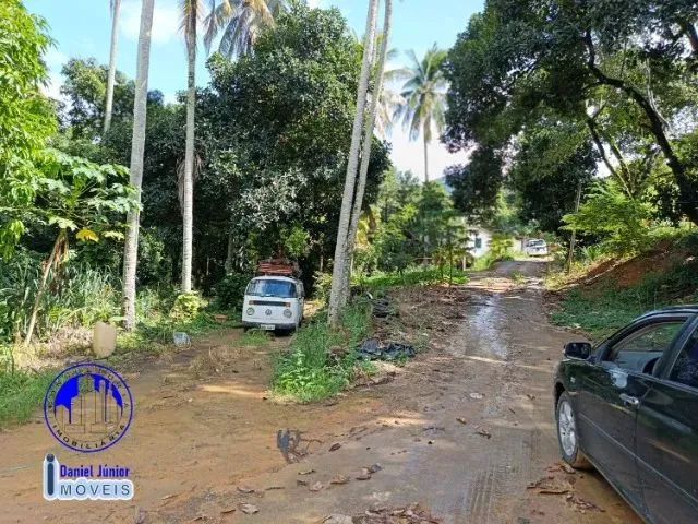 Imagem 6: Vendo Sítio - Nova Campo Grande - Cariacica/Es