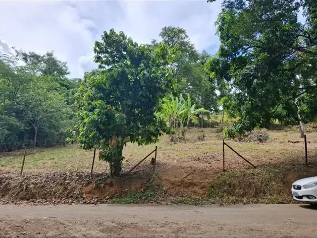 Imagem: Vendo Chácara Novo Horizonte Cariacica