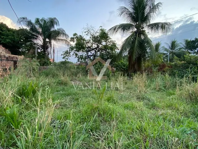 Imagem 5: Terreno em Bom Jesus - Salinópolis, Pa