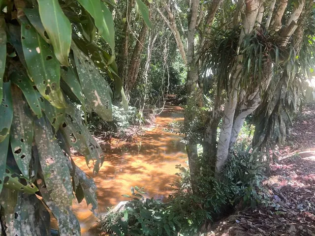 Imagem: Vendo Terreno em santa Leopoldina