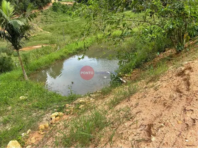Imagem 7: Chácara em Melgaço, Domingos Martins
