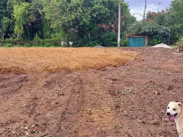 Imagem 16: Lotes Enseada das Garças