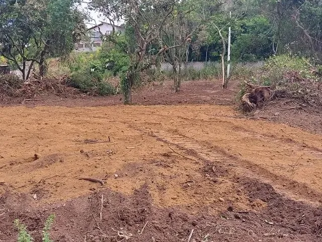Imagem 2: Lotes Enseada das Garças