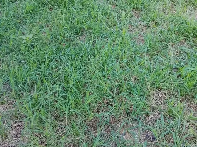 Imagem: Terreno na Serra
