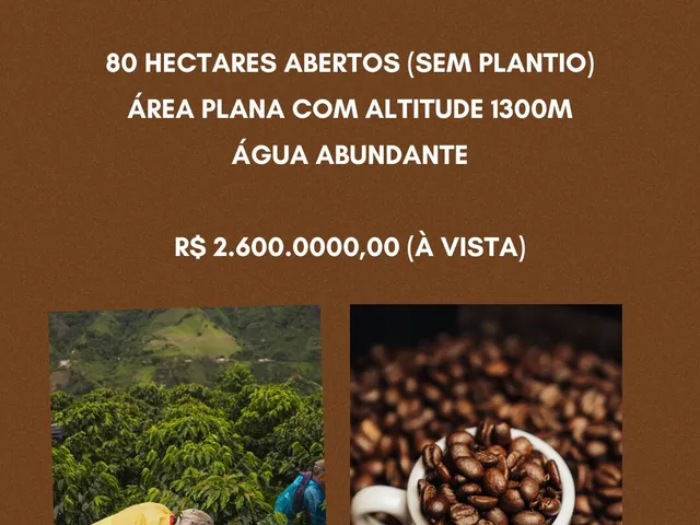 Imagem: Fazenda ideal para café