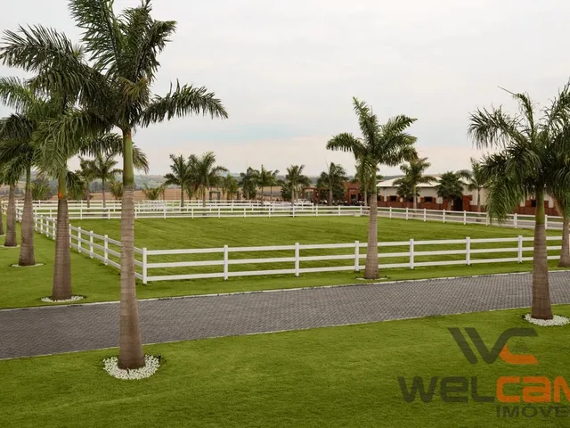 Imagem 4: Haras em Marialva - Venha se encantar com este belíssimo imóvel!