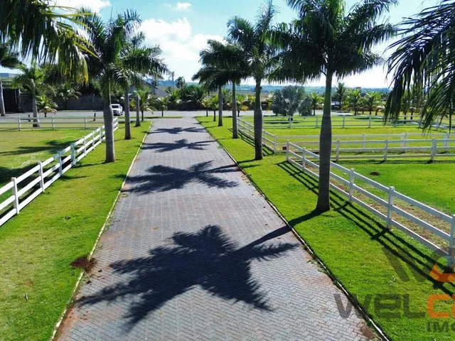 Imagem 13: Haras em Marialva - Venha se encantar com este belíssimo imóvel!