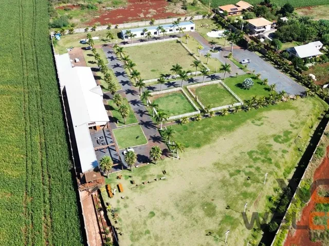 Imagem 10: Haras em Marialva - Venha se encantar com este belíssimo imóvel!