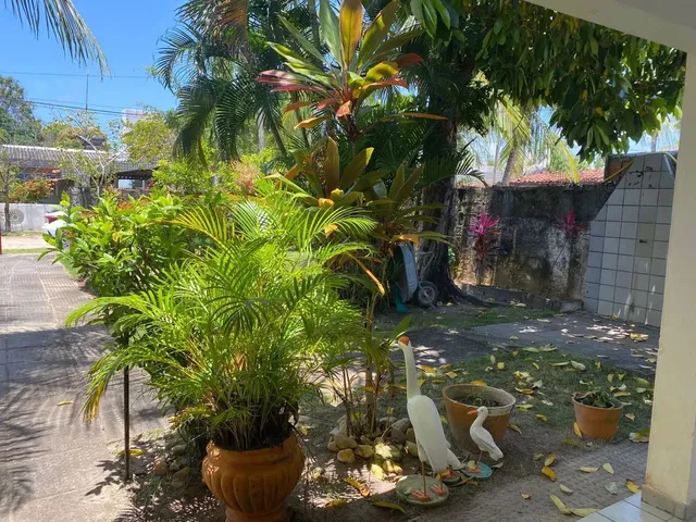 Imagem 5: Aluguel Casa de Praia - Serrambi