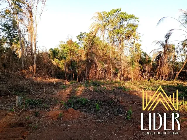 Imagem: Lotes Planos em Mairiporã