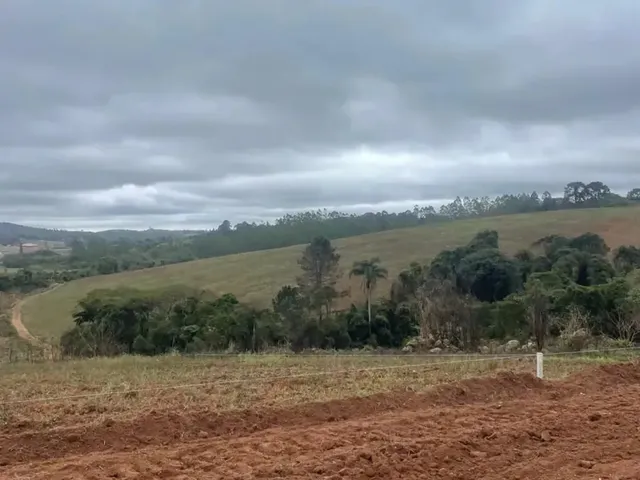 Imagem: Imóvel para Venda Tem 500 Metros Quadrados