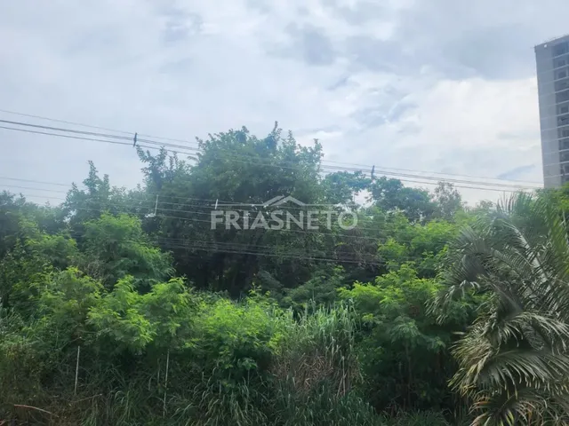 Imagem 14: Apartamento Ao Lado do Delta