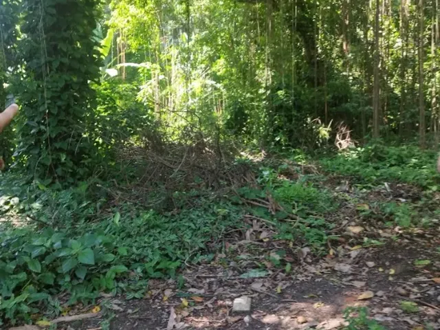 Imagem: Terreno na Estrada do Rio Grande