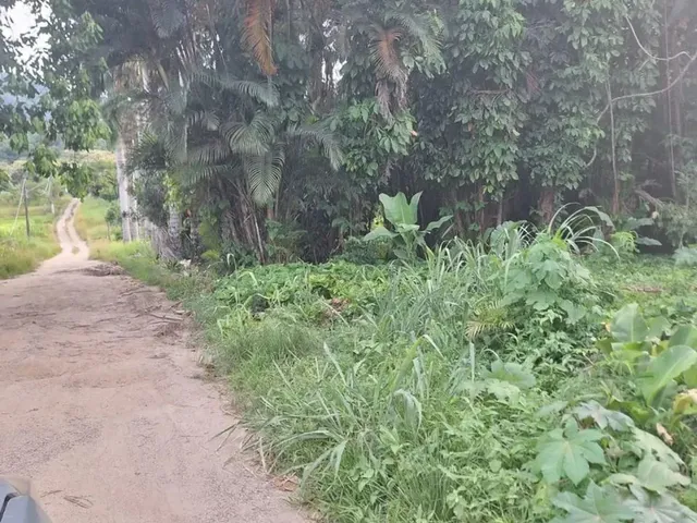 Imagem: Ótima Área com 9.600 M²