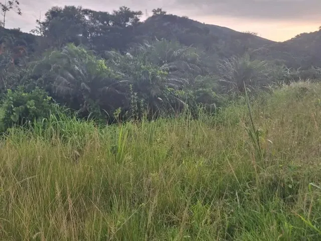 Imagem 2: Ótima Área com 9.600 M²