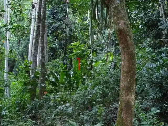 Imagem: Excelente Terreno para Venda em Vargem Grande