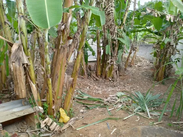 Imagem: Vendo Ilha de Guaratiba Bairro Matriz Terreno