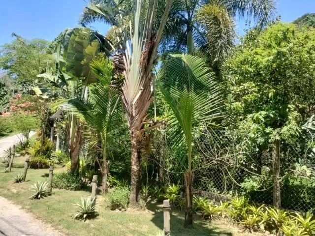 Imagem: Linda Chácara - Ilha de Guaratiba