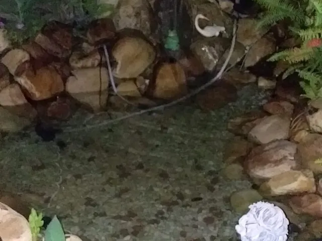 Imagem 9: 0 Casa com 3 dormitórios