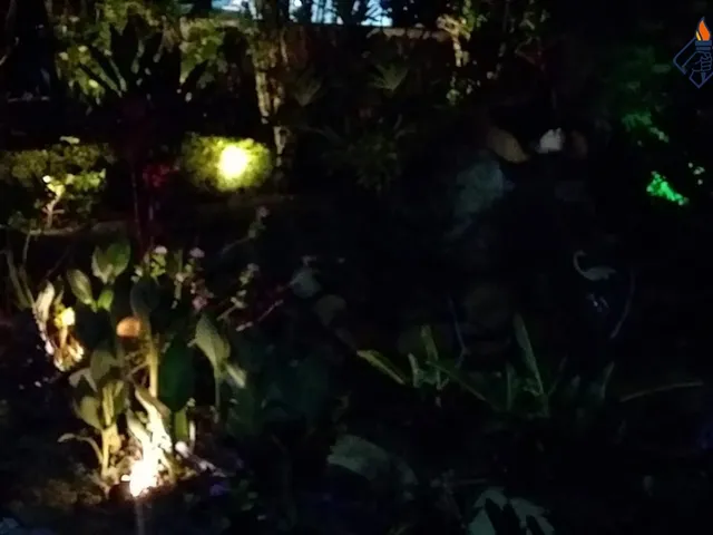 Imagem 10: 0 Casa com 3 dormitórios