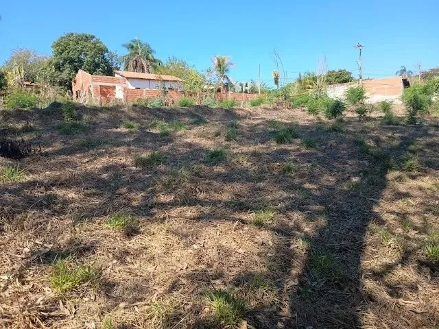 Imagem 9: Chácara 5.000 Mts em Limeira Bairro dos Frades Somente Terra