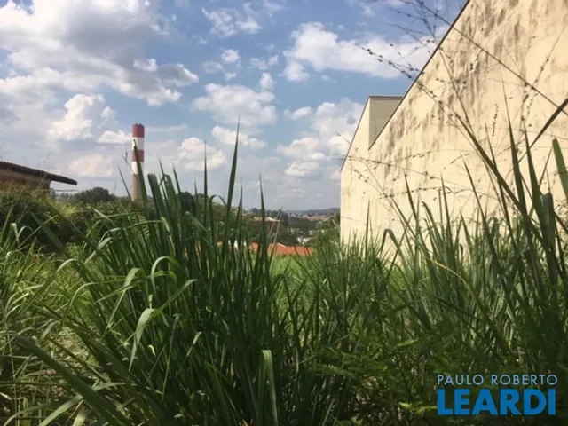 Imagem 4: Terreno - Jardim Ribeiro - Sp