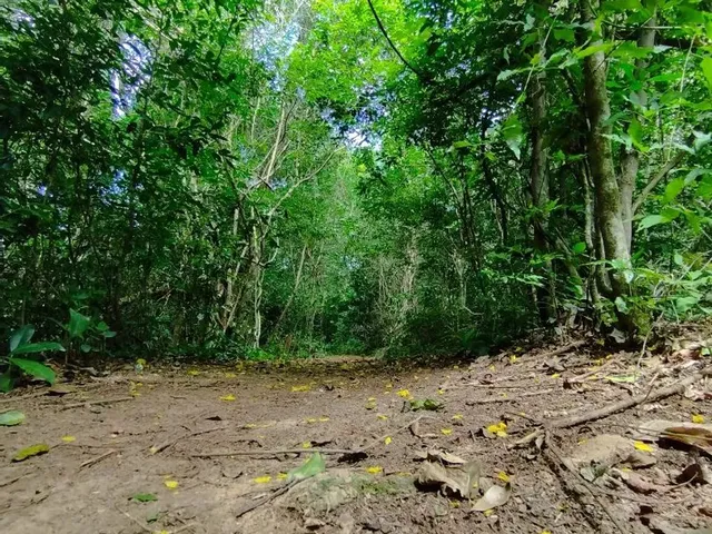 Imagem 16: Recanto das Estrelas À Venda em Quadra-Sp