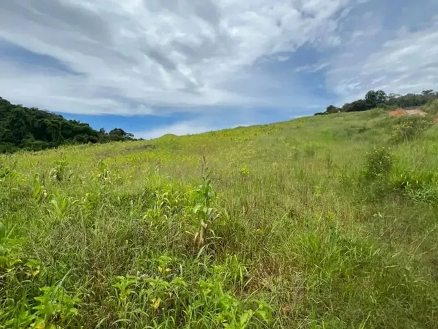 Imagem: Vendo Terreno em Ibiúna a 15 Min da Represa