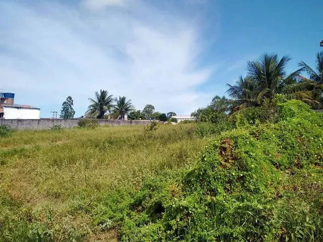 Imagem 2: Área em Piúma - Nova Esperança - 3.100 M²