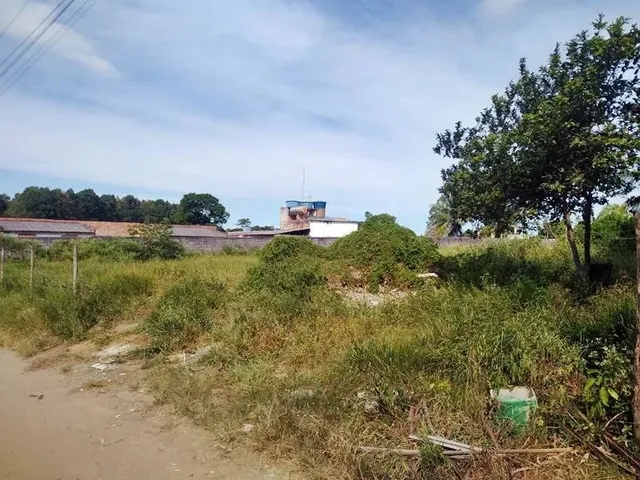 Imagem 4: Área em Piúma - Nova Esperança - 3.100 M²