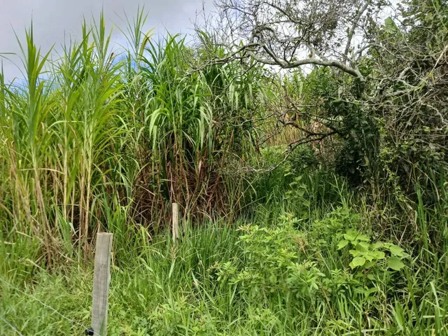 Imagem 4: Vende-Se Uma Excelente Chácara de 12.100 M² no Município de Itapemirim/Es
