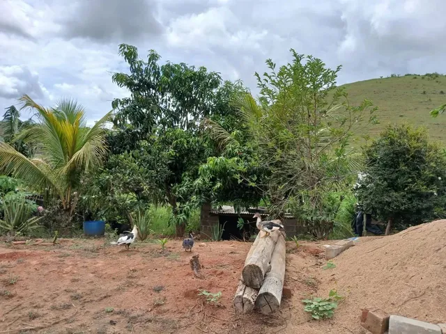 Imagem 14: Vende-Se Uma Excelente Chácara de 12.100 M² no Município de Itapemirim/Es