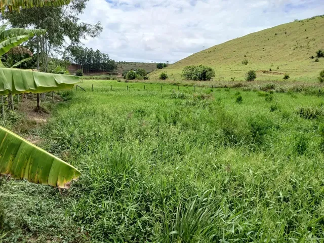 Imagem 13: Vende-Se Uma Excelente Chácara de 12.100 M² no Município de Itapemirim/Es