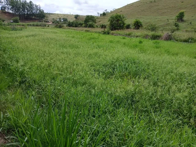 Imagem 6: Vende-Se Uma Excelente Chácara de 12.100 M² no Município de Itapemirim/Es