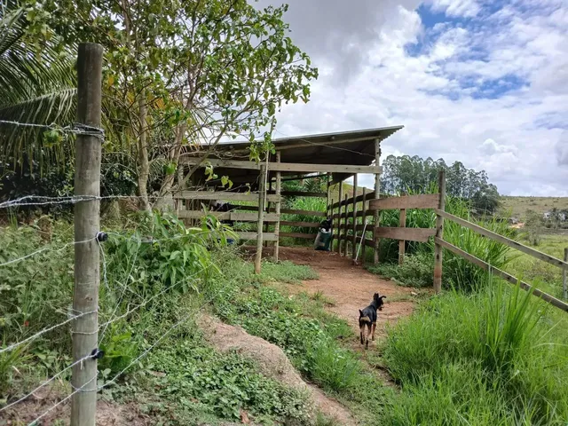Imagem 7: Vende-Se Uma Excelente Chácara de 12.100 M² no Município de Itapemirim/Es