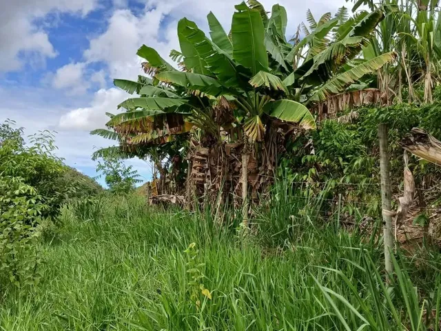 Imagem 3: Vende-Se Uma Excelente Chácara de 12.100 M² no Município de Itapemirim/Es
