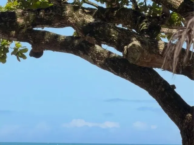 Imagem 10: Lindo Quarto e Sala no Centro de Guarapari