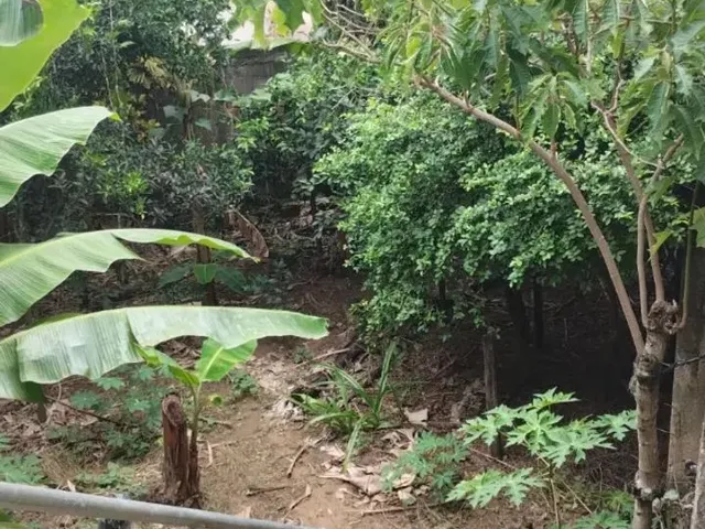 Imagem 4: Casa 3 Quartos em Alfredo Chaves