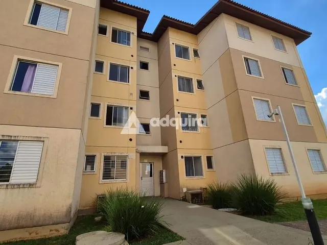 Imagem: Apartamento para Locação, Uvaranas, Ponta