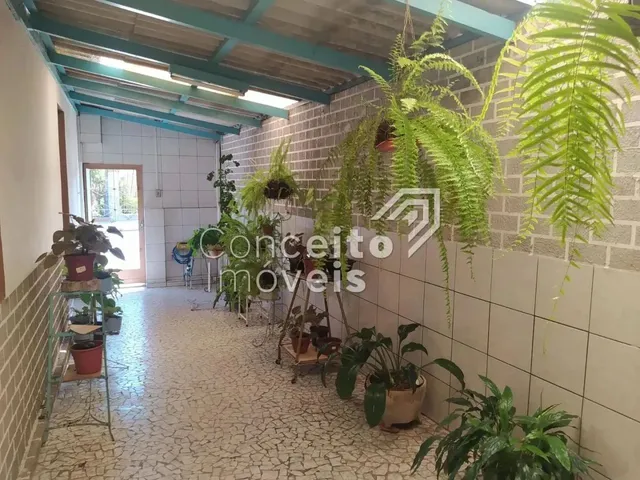 Imagem 6: Casa com Amplo Terreno - Uvaranas